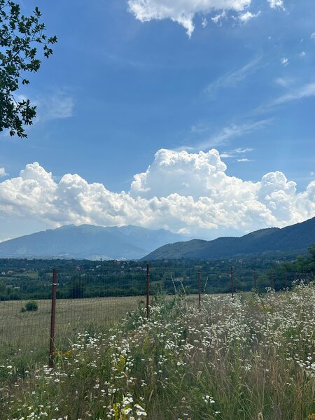 Zarnesti - Tohanita