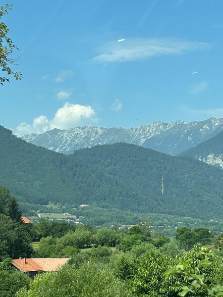 Zarnesti - Tohanita
